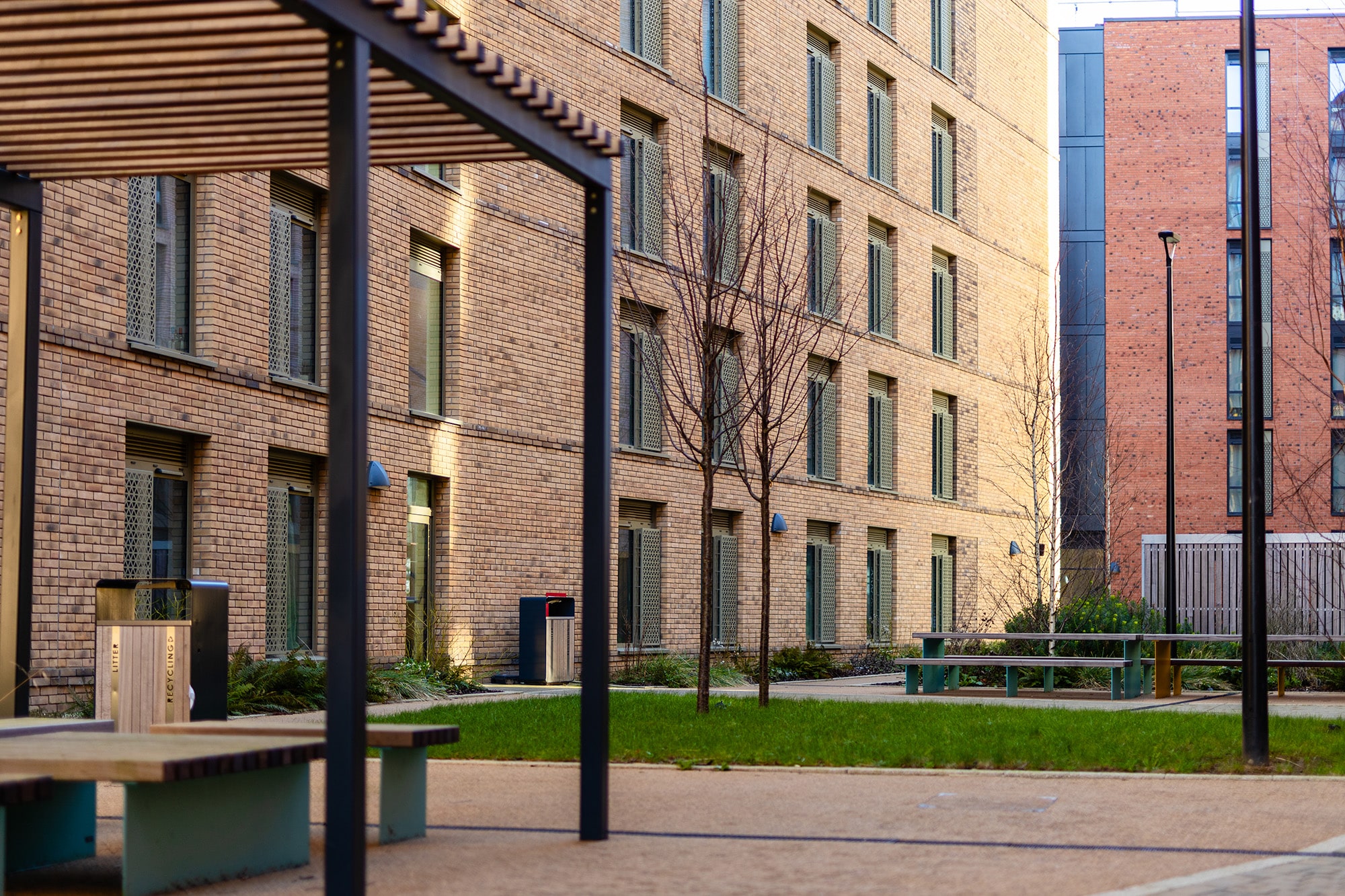 The outside area of St Marks with trees and benches