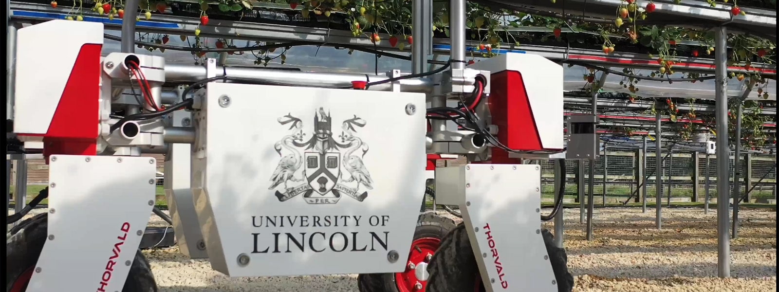 Thorvald Agricultural Robot