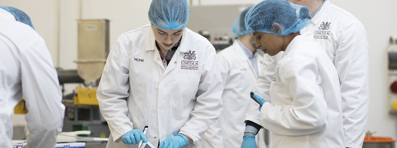 Management and Team Development