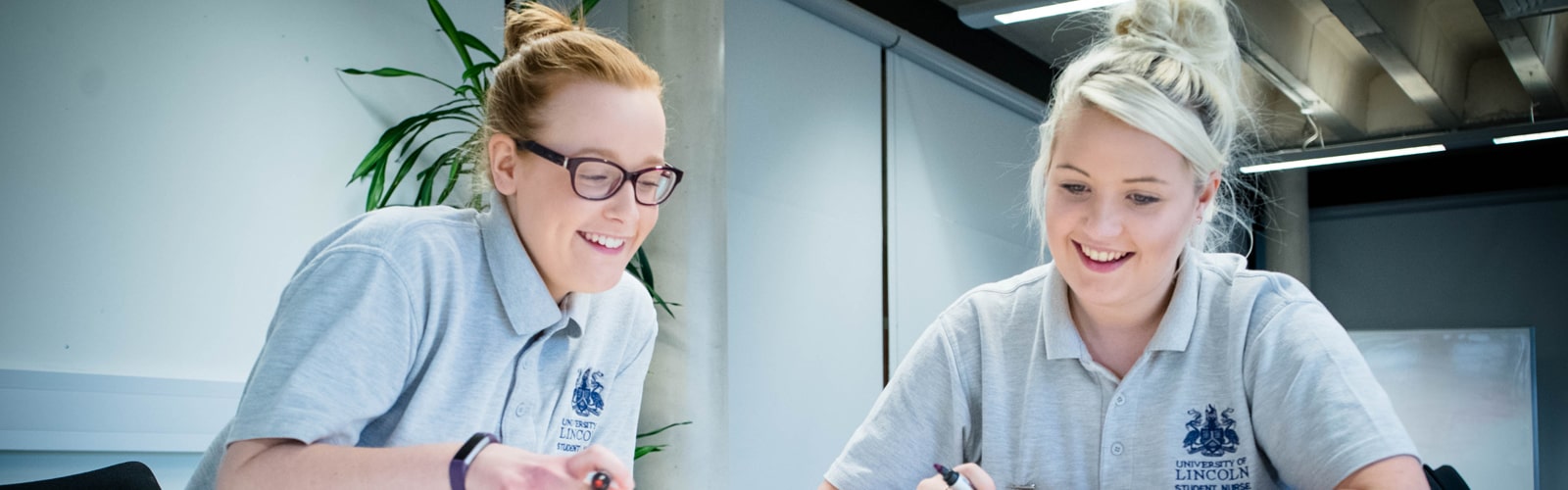 Return to Practice (Nursing) Header