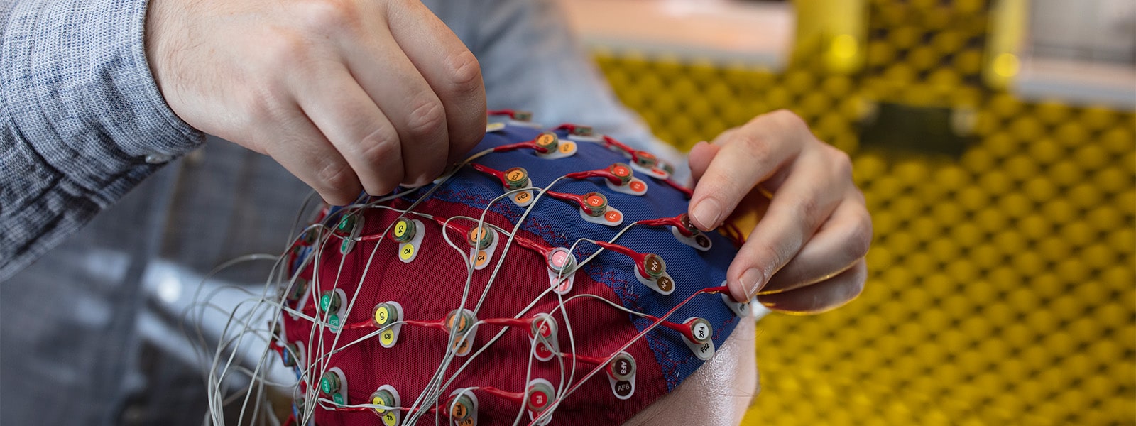 Cognition experiment