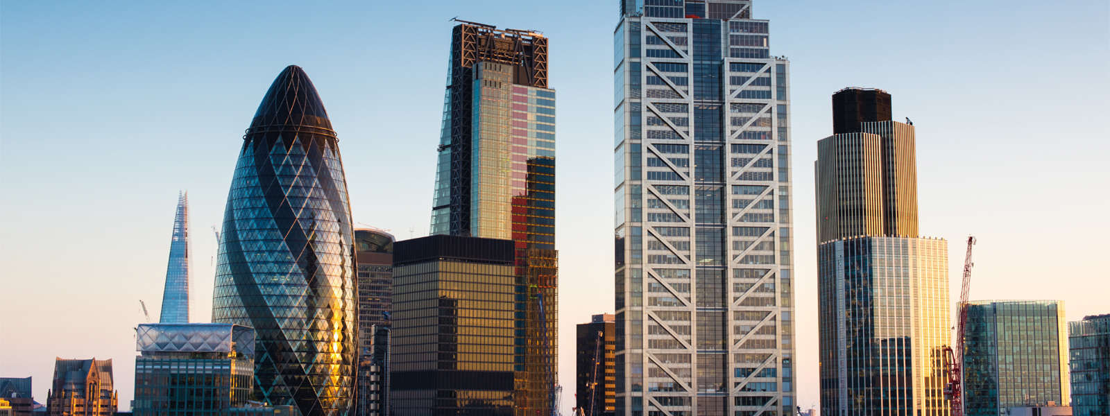 International Business Law masthead