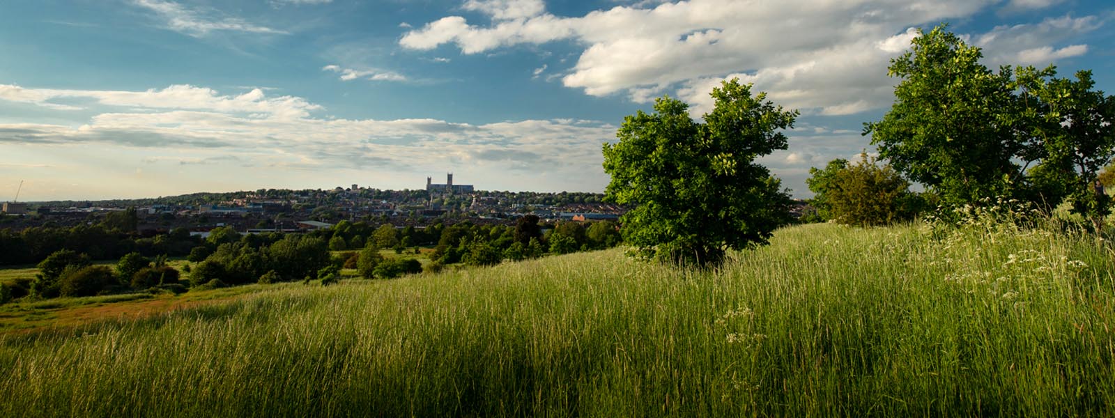 A view of Lincoln from the city's South Common