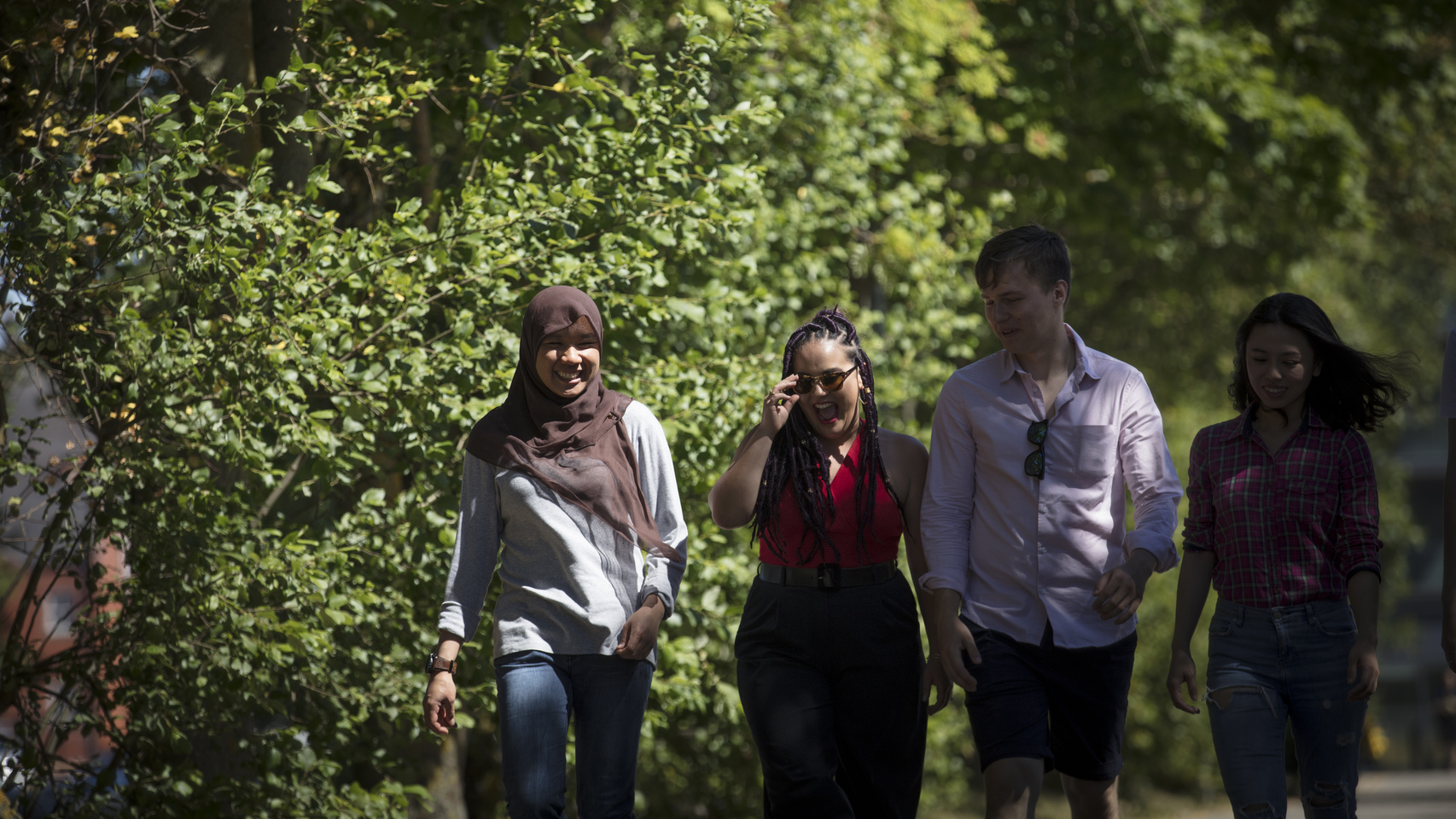 A group of students walk along a tree lined path