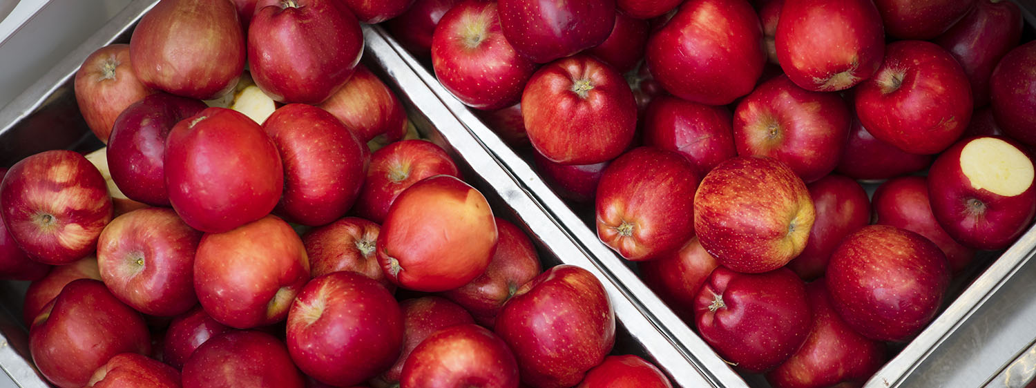 Apples in a metal tray